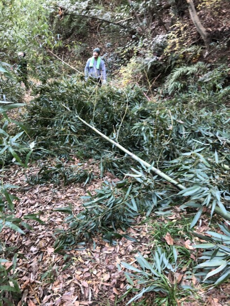 ドゥカティ中古車販売及びメンテナンスの神奈川県『volto』